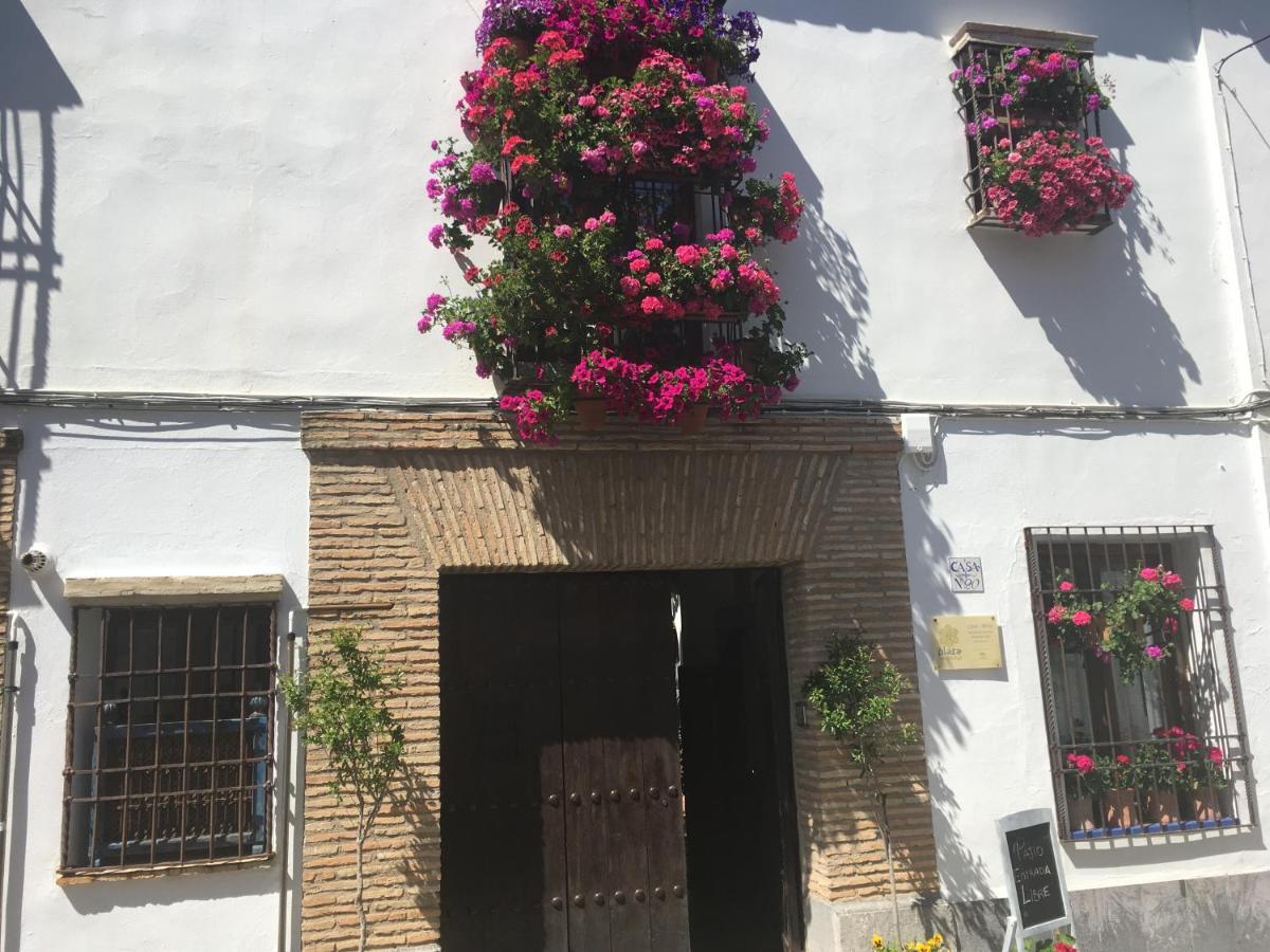 Conde De Vallellano Appartement